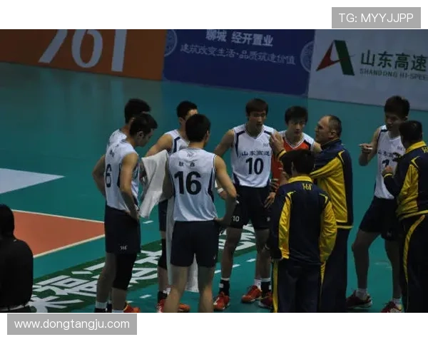 上海羽毛球队快攻战术分析及其在比赛中的成败得失探讨 上海羽毛球队快攻战术分析及其在比赛中的成败得失探讨