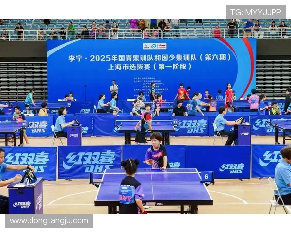 乒乓球力量榜单揭晓上海乒乓球队荣获第三名成就辉煌 乒乓球力量榜单揭晓上海乒乓球队荣获第三名成就辉煌