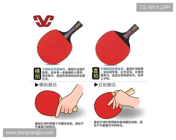 乒乓球装备选购指南球拍推荐与使用技巧分享 乒乓球装备选购指南球拍推荐与使用技巧分享