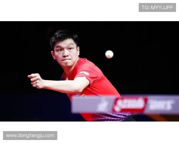 乒乓球的荣耀与拼搏上海乒乓球队奋斗历程全景纪实 乒乓球的荣耀与拼搏上海乒乓球队奋斗历程全景纪实