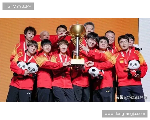 全国锦标赛回顾:成都乒乓球队展现卓越团队协作精神与实力 全国锦标赛回顾:成都乒乓球队展现卓越团队协作精神与实力