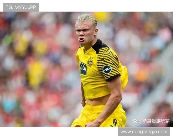 全球顶级贵族足球明星名单及其辉煌成就解析