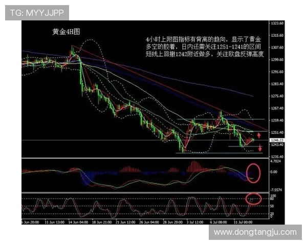 独家解析杭州羽毛球队实力对比及未来发展潜力分析 独家解析杭州羽毛球队实力对比及未来发展潜力分析