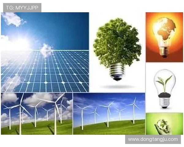 武汉羽毛球队在钻石联赛中的技术表现分析与未来展望